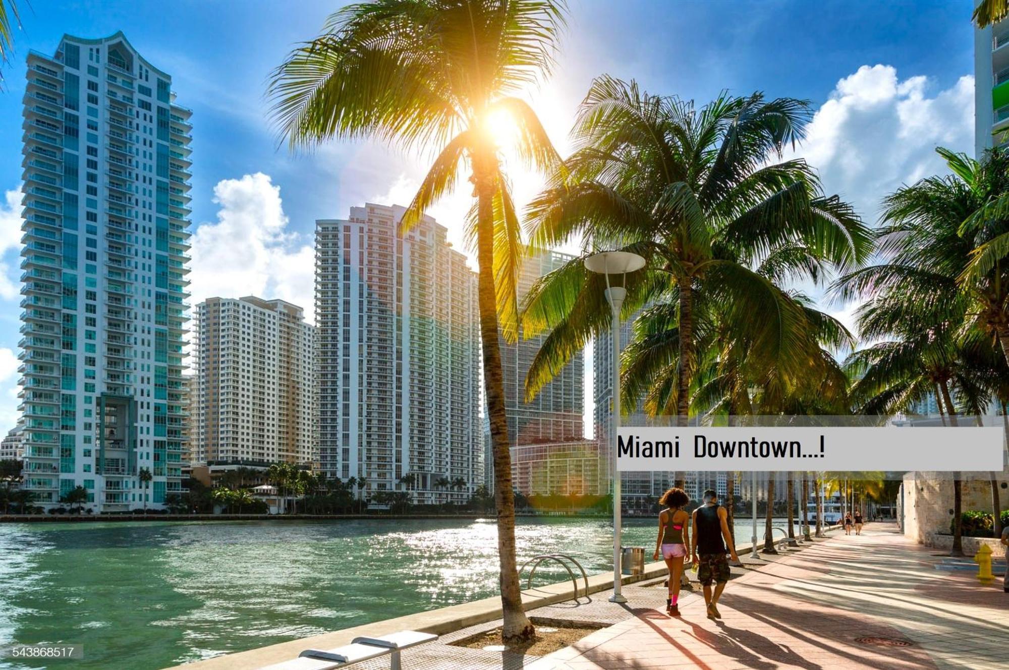 Experience The Perfect Miami Life!! Centrally Located Luxury Condo! Luaran gambar